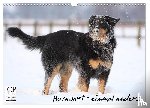 Mielewczyk, Barbara - Hovawarte - einmal anders (Wandkalender 2026 DIN A3 quer), CALVENDO Monatskalender