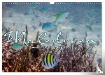 Rodriguez Photography, Clave - Unterwasserwelt der Malediven III (Wandkalender 2026 DIN A3 quer), CALVENDO Monatskalender