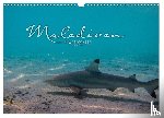 Rodriguez Photography, Clave - Unterwasserwelt der Malediven I (Wandkalender 2026 DIN A3 quer), CALVENDO Monatskalender