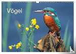 McPHOTO, McPHOTO - Vögel (Wandkalender 2026 DIN A3 quer), CALVENDO Monatskalender