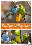 Löwer, Sabine - Niedliche Wellensittiche (Wandkalender 2026 DIN A3 hoch), CALVENDO Monatskalender