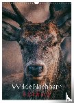 Payne, Chris - Wilde Nachbarn: Rotwild (Wandkalender 2026 DIN A3 hoch), CALVENDO Monatskalender