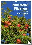Vorndran, Hans-Georg - Biblische Pflanzen mit ihren Bibelversen (Wandkalender 2026 DIN A3 hoch), CALVENDO Monatskalender