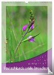 Löwer, Sabine - Deutschlands wilde Orchideen (Wandkalender 2026 DIN A3 hoch), CALVENDO Monatskalender