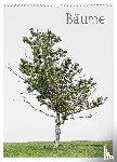 Felbert, Peter von - Bäume (Wandkalender 2026 DIN A3 hoch), CALVENDO Monatskalender