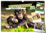 Viola, Melanie - TIERKINDER Abenteuer Wildnis (Wandkalender 2026 DIN A3 quer), CALVENDO Monatskalender