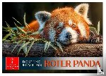 Roder, Peter - Roter Panda - die Stimme der Wildnis (Wandkalender 2026 DIN A2 quer), CALVENDO Monatskalender