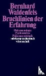 Waldenfels, Bernhard - Bruchlinien der Erfahrung