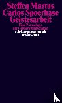 Martus, Steffen, Spoerhase, Carlos - Geistesarbeit