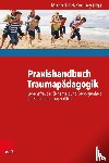 Baierl, Martin, Frey, Kurt - Praxishandbuch Traumapadagogik