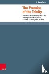 B Hoon Woo - The Promise of the Trinity - The Covenant of Redemption in the Theologies of Witsius, Owen, Dickson, Goodwin, and Cocceius