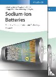  - Sodium-Ion Batteries