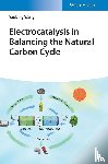 Wang, Yaobing (Chinese Academy of Sciences) - Electrocatalysis in Balancing the Natural Carbon Cycle