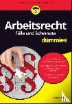 Haag, Oliver - Arbeitsrecht Falle und Schemata fur Dummies