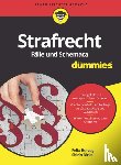 Herzog, Felix - Strafrecht Falle und Schemata fur Dummies