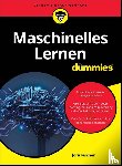 Fischer, Jorn - Maschinelles Lernen fur Dummies