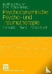 Gottfried Fischer, Peter Schay - Psychodynamische Psycho- Und Traumatherapie