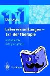 Dancygier, H. - Lebererkrankungen 1×1 der Therapie - Medikamente richtig eingesetzt