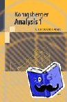 Königsberger, Konrad - Analysis 1 - Mit 250 Aufgaben und Lösungen