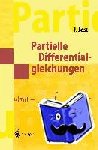Jost, Jürgen - Partielle Differentialgleichungen - Elliptische (und parabolische) Gleichungen