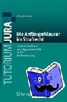 Jurgen Seier - Die Anfangerklausur Im Strafrecht - Zentrale Probleme Des Allgemeinen Teils in Der Fallbearbeitung