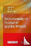 Yuehua Hu, Wei Sun, Dianzuo Wang - Electrochemistry of Flotation of Sulphide Minerals