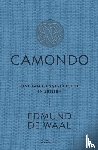 de Waal, Edmund - Camondo - Eine Familiengeschichte in Briefen