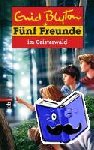 Blyton, Enid - Fünf Freunde 66. Fünf Freunde im Geisterwald