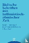 Pohlmann, Karl Friedrich - 3. Esra-Buch