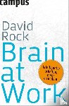 Rock, David - Brain at Work