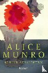 Munro, Alice - Kleine Aussichten