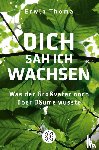 Thoma, Erwin - Dich sah ich wachsen
