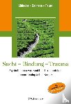 Lüdecke, Christel, Faure, Hendrik, Sachsse, Ulrich - Sucht - Bindung - Trauma