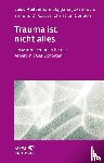 Reddemann, Luise, Joksimovic, Ljiljana, Kaster, Simone D., Gerlach, Christian - Trauma ist nicht alles