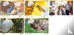 Brandau, Nicole, Drecktrah, Stefanie - Paket Kamishibai mit Eberhart