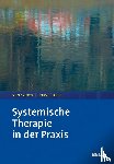  - Systemische Therapie in der Praxis