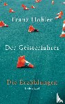 Hohler, Franz - Der Geisterfahrer