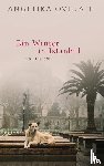 Overath, Angelika - Ein Winter in Istanbul