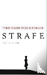 Schirach, Ferdinand von - Strafe