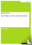 Susanne Drews - Italo Calvino Und Seine Lezioni Americane