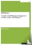 Wiebke Berger - Ursachen Und Wirkungen Von Aggression Im Mannschafts- Und Schulsport