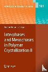  - Interphases and Mesophases in Polymer Crystallization II