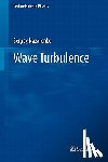 Sergey Nazarenko - Wave Turbulence