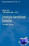 Adolfo Avella, Ferdinando Mancini - Strongly Correlated Systems - Theoretical Methods