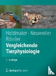 Heldmaier, Gerhard, Neuweiler, Gerhard, Rossler, Wolfgang - Vergleichende Tierphysiologie