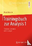 Fritzsche, Klaus - Trainingsbuch zur Analysis 1
