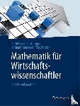 Haack, Bertil, Tippe, Ulrike, Stobernack, Michael, Wendler, Tilo - Mathematik Fur Wirtschaftswissenschaftler
