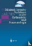 Karl Schwarzschild, Hans-Heinrich Voigt - Gesammelte Werke / Collected Works