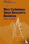 Victor S. L'Vov - Wave Turbulence Under Parametric Excitation