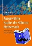 Strampp, Walter - Ausgewählte Kapitel der Höheren Mathematik - Vektoranalysis, Spezielle Funktionen, Partielle Differentialgleichungen